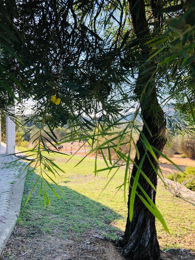 Elena'S Country Home & Spa Kalithies Luaran gambar